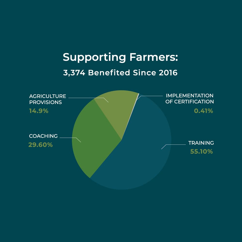 Greenhouse cultivation supporting agricultural development